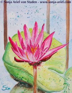 Rosa-Lotus