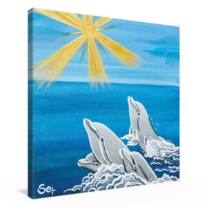Delfinbild: Sonnenbad der Delfine