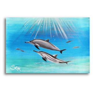 Imagen de delfín: pareja de amor de delfines
