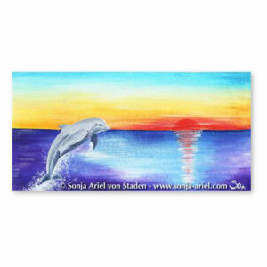 Imagen de delfín: delfín en la puesta de sol